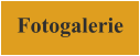 Fotogalerie