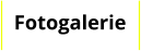 Fotogalerie