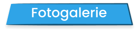Fotogalerie